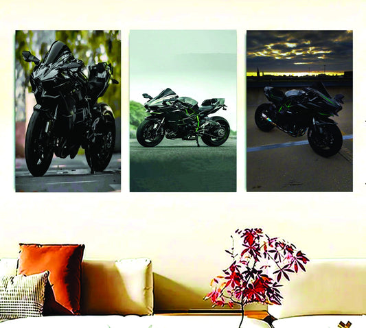 Dynamic Trio Ninja H2R Motorcycle Art Canvas Frames For Wall Decor | Self Adhesive Photo Tile