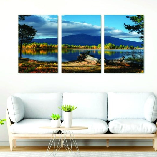 Trendy 3-Panel Phototile Wall Art Set | Decorative Wooden Frames In Elegant Prints | Abstract and Nature Designs